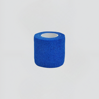 Blue Sports Tape